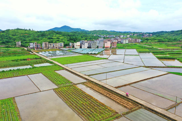 嘉禾：产业兴  乡村美