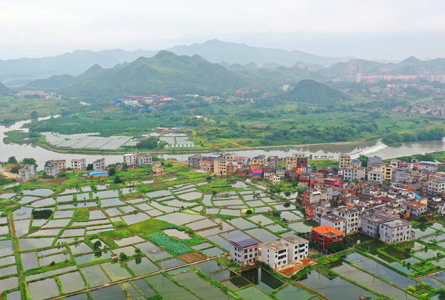 嘉禾：渔业兴  乡村美