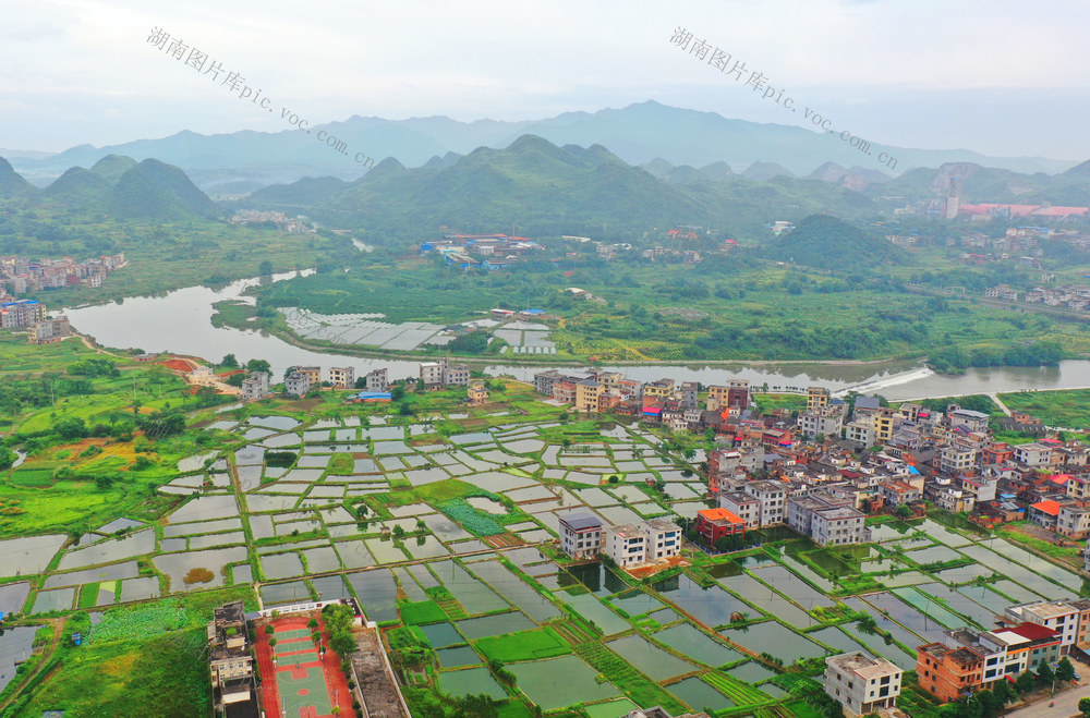 嘉禾：渔业兴  乡村美