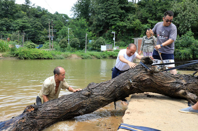 湖南邵东  河道  清理  灾后  畅通