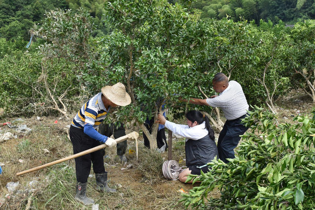 专家指导  生产自救