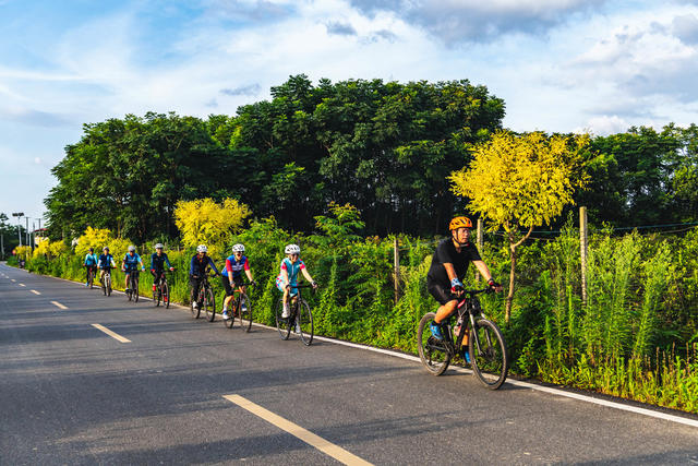 运动  低碳  骑行