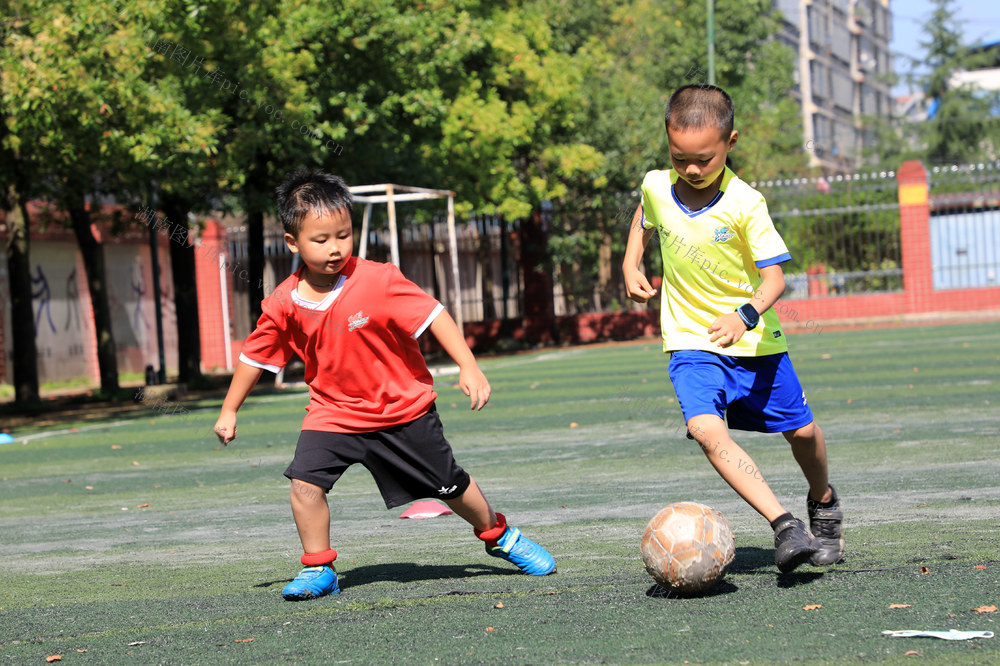 湖南邵东  暑假  运动  足球  篮球  兴趣班  小朋友