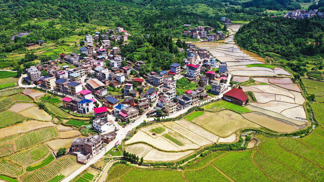 秀美  山村  生态  画卷