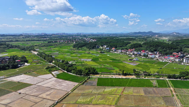乡村
美景