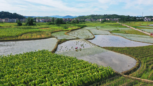 田园  多彩  人勤  景美