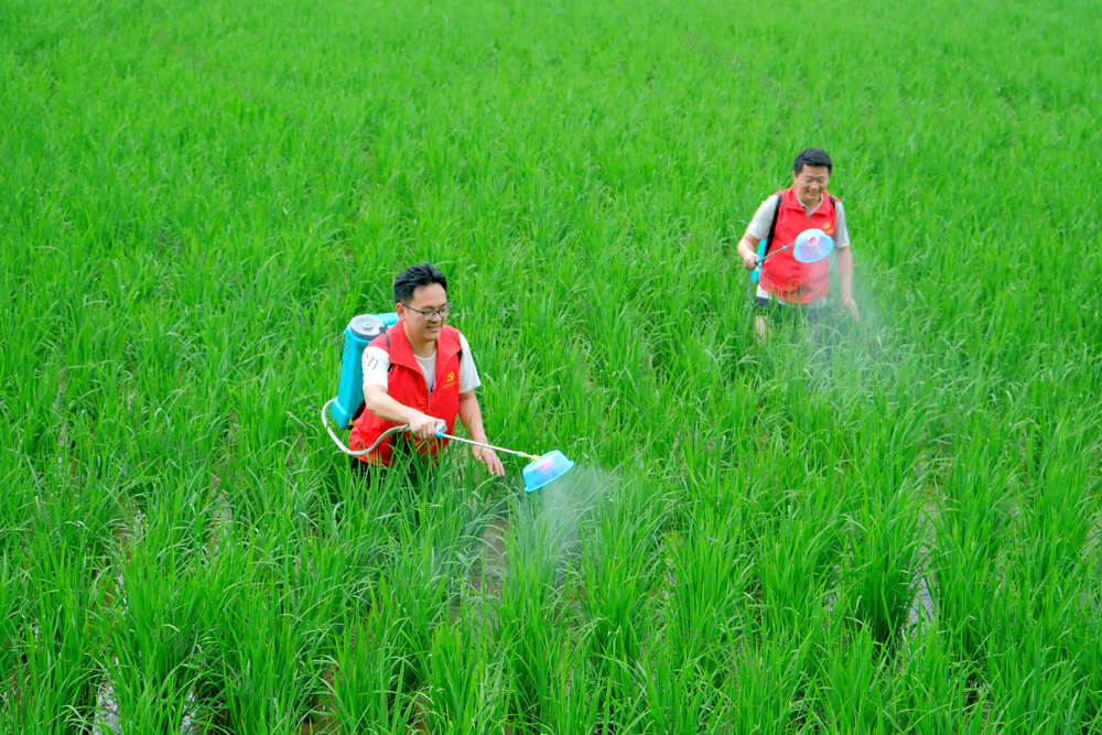 党员干部、助农、产业