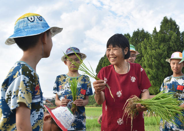 嘉禾：学农事 度暑假