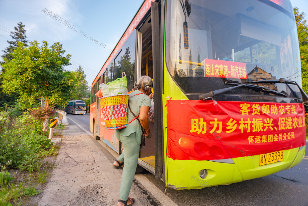 免费“客货邮助农专线”、服务菜农、
助力乡村振兴
