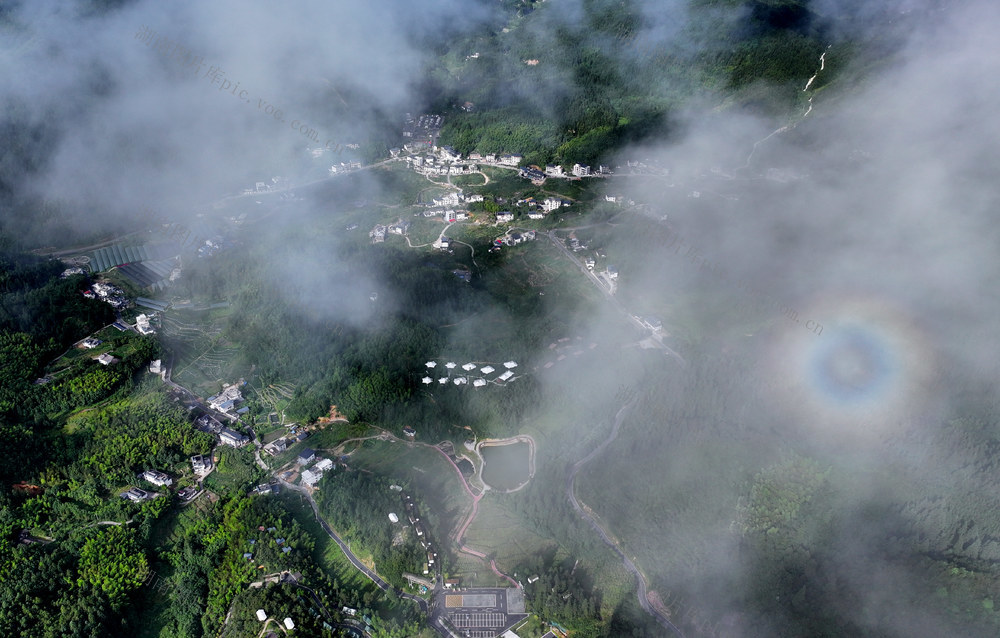 湖南桂东 凉 经济 热产业 青竹村