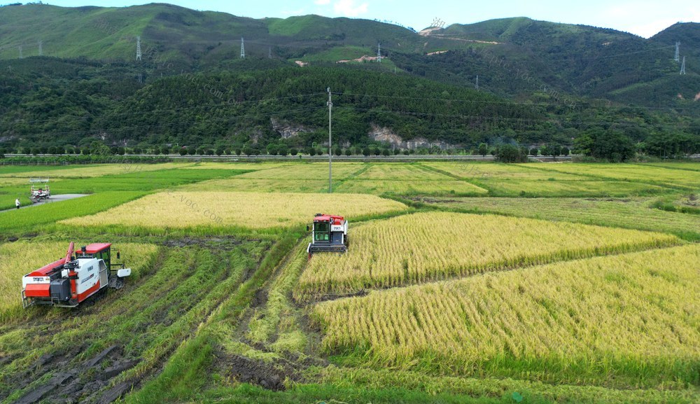双牌：早稻机收率超九成