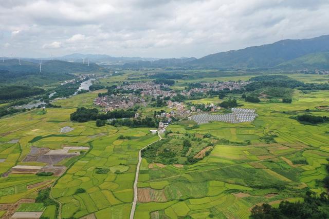 江永 稻谷 示范田 高标准农田建设