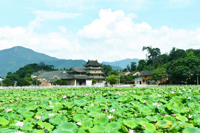 “荷美”乡村