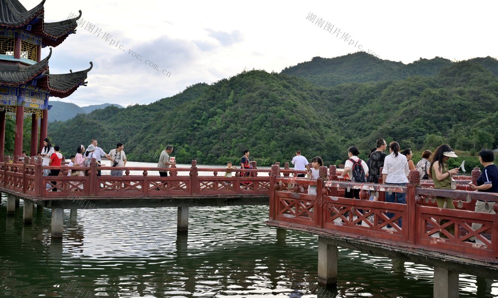 阳明山：清凉一“夏”