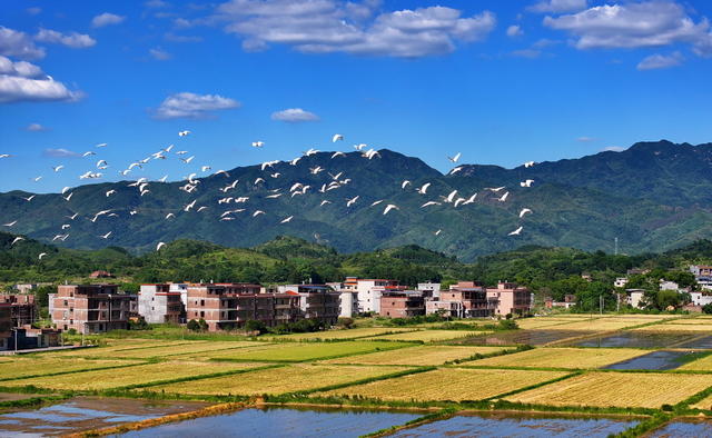 生态好 环境优 村庄美