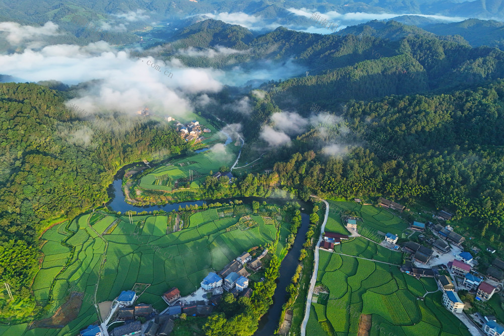 乡村、农村、景色、清晨、生态