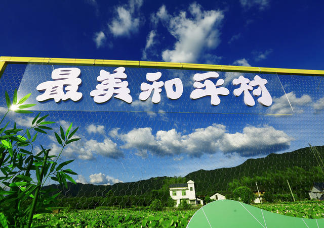 湖南  郴州  苏仙区 
 飞天山镇  和平村  荷花  乡村旅游  休闲旅游 
 郊乡村旅游圈 