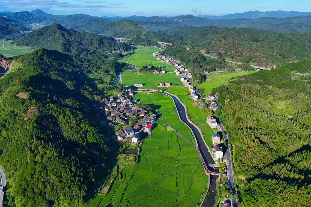 农业、水稻、乡村、人居环境、生态