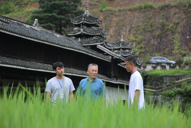 从严治党、走访、监督、察民情、解民忧