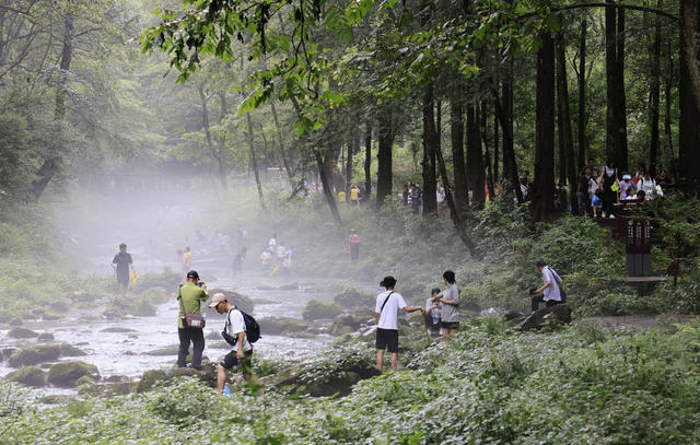金鞭溪,张家界,避暑,纳凉