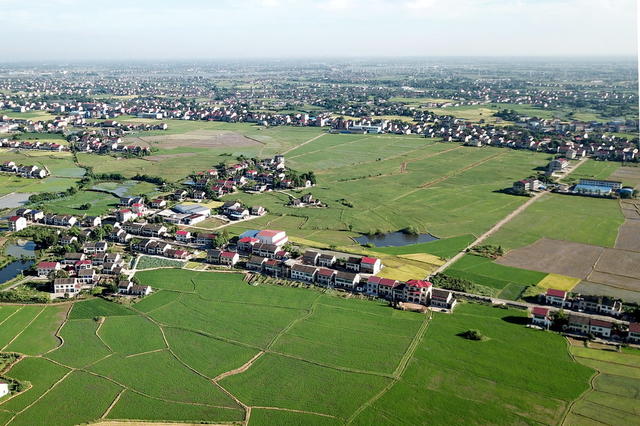 晚稻口长势囗喜人