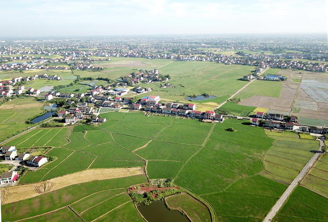 晚稻口长势囗喜人