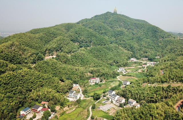 竹囗产业囗富囗桃江