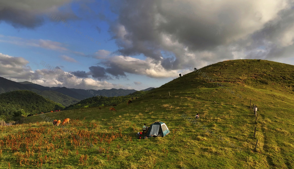 享受高山生态牧场的夏季清凉.