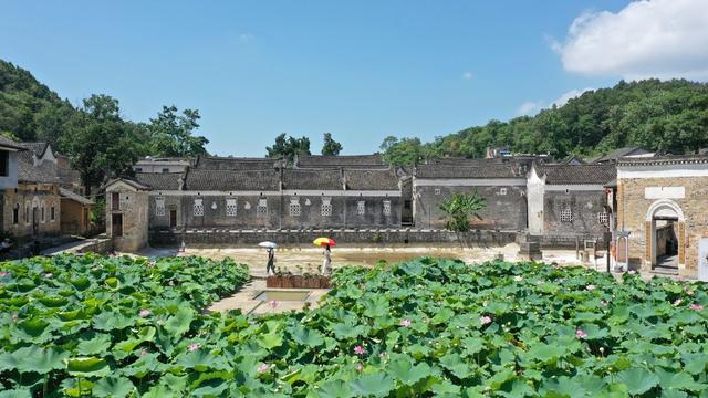 湖南 新田 古村景美 引客来