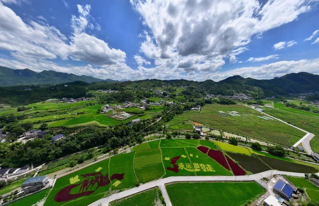 张家界 山村 协合乡 田园