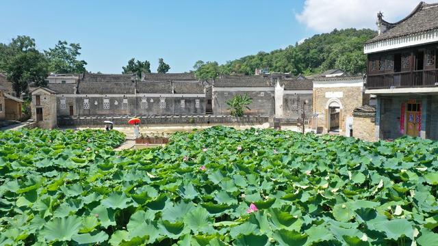 湖南 新田 古村景美 引客来