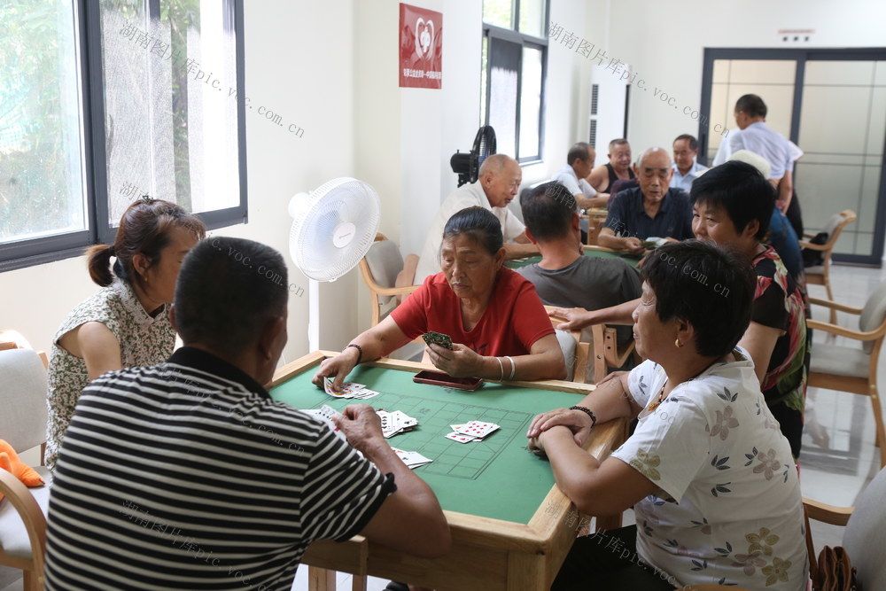 湖南，龙山，养老，服务，设施，模式，网络，15分钟，多元，多层次，专业化，个性化，
