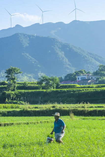 乡村  田园  生态环境  立秋  节气