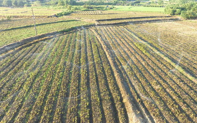 中药材  节水灌溉  合作社  产业发展  农民增收  经济建设   示范基地  农业新技术