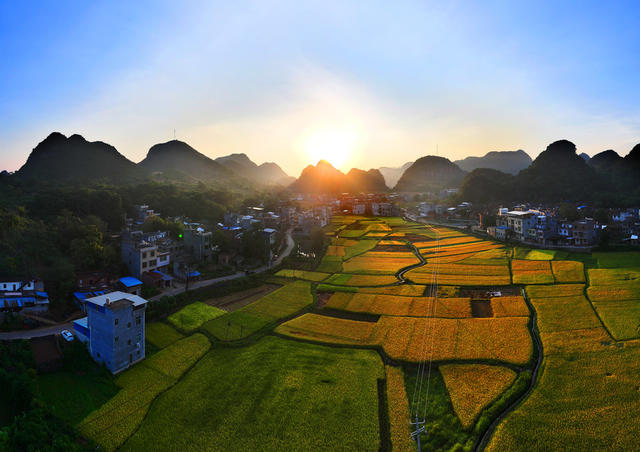 初秋  晨曦  田野  山村