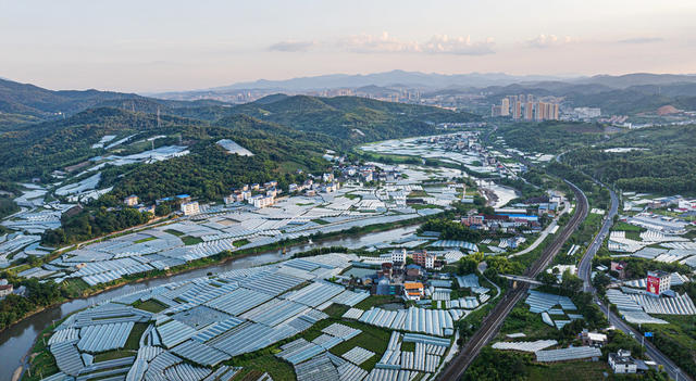 航拍  湖南  郴州  苏仙区  卜里坪  长冲铺  梁家湾  葡萄基地。   巨峰  仙鹿  商标  湘南葡萄文化第一村   