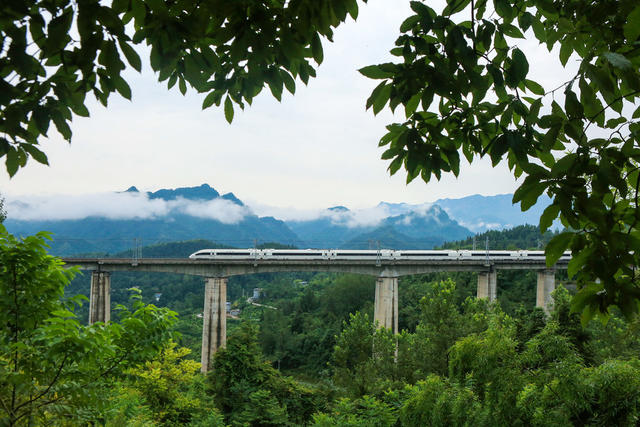 湖南，龙山，武陵山区，列车，黔张常铁路，交通运输，经济发展，乡村振兴