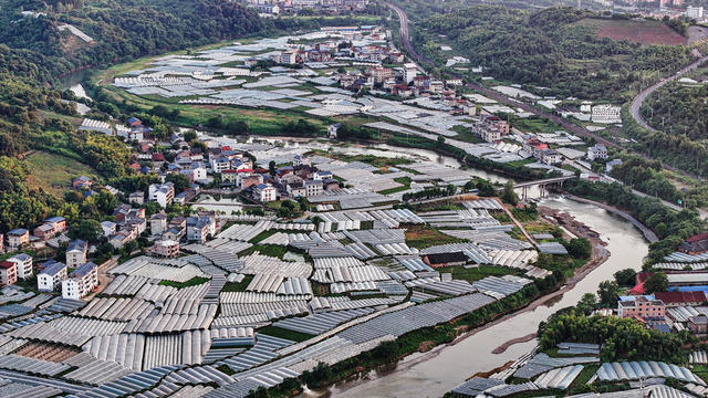 航拍  湖南  郴州  苏仙区  卜里坪  长冲铺  梁家湾  葡萄基地。   巨峰  仙鹿  商标  湘南葡萄文化第一村   