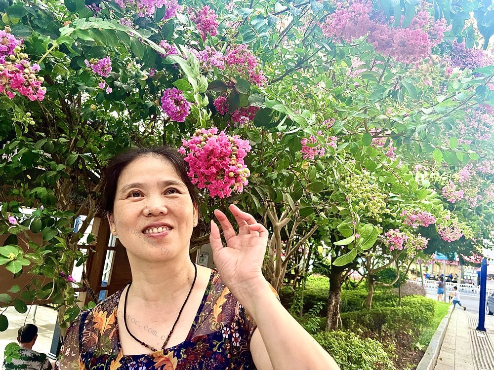 城区处处有景色
