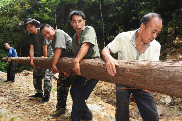 资兴 ：生产自救  重建家园
