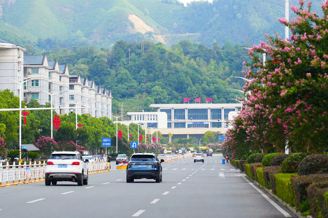 洪江市 黔城镇 紫薇花 生态 绿色
