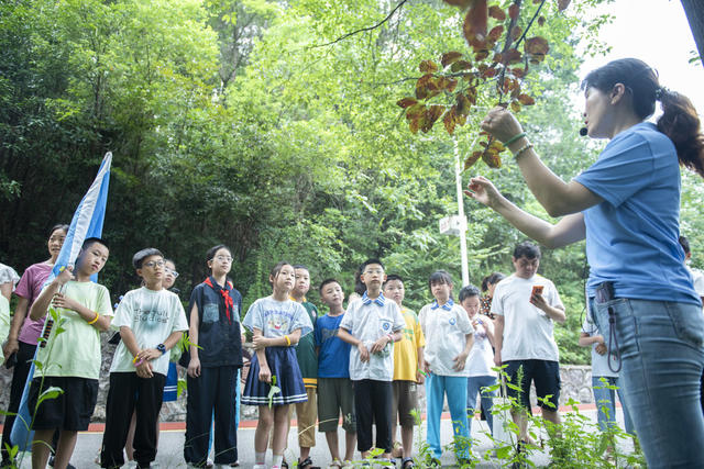 湖南娄底 全国生态日 环保志愿者 大自然 生态环境 青少年