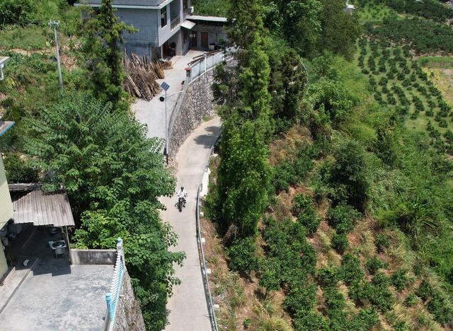 大山深处的健康守护者