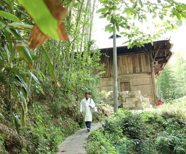 大山深处的健康守护者