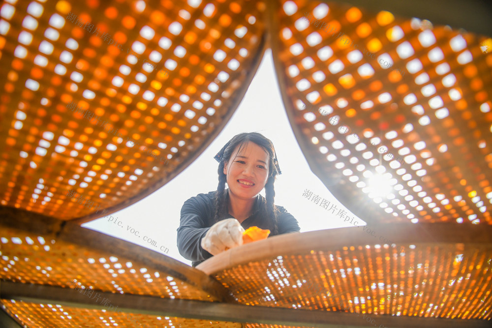 农村
直播带货
道县
电商