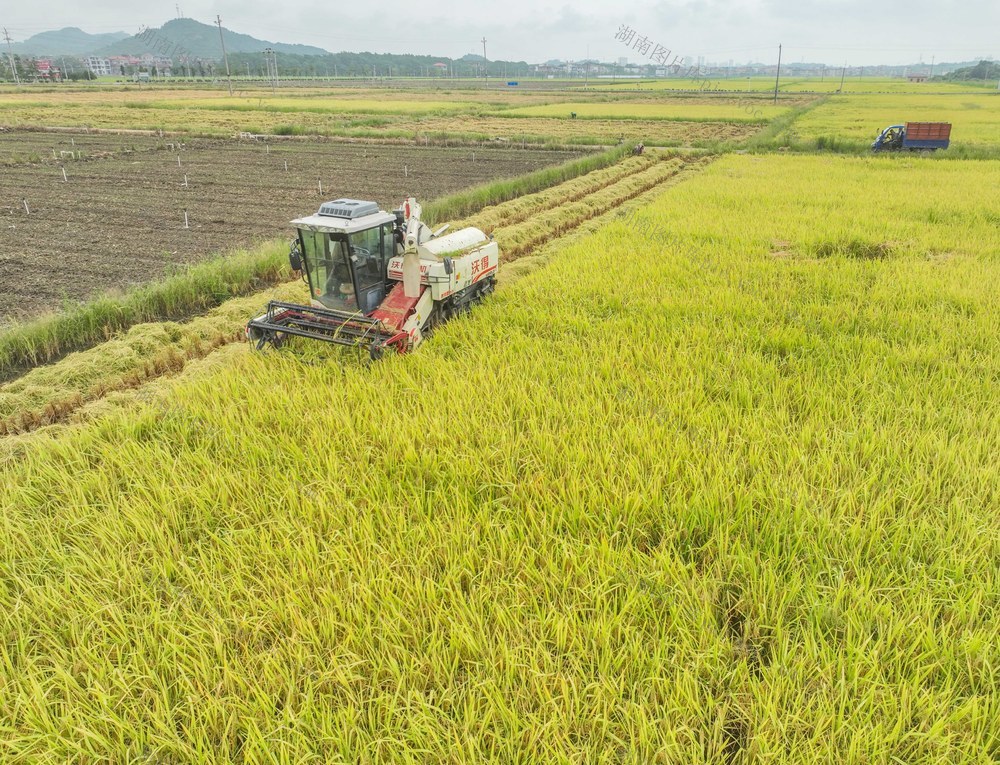 秋忙
处暑
秋管