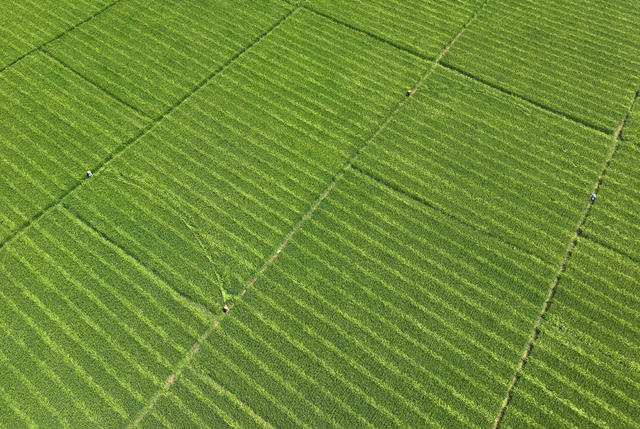 洪江市黔城镇烟溪村