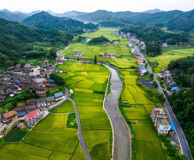 通道 乡村 秋景 