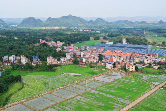 嘉禾：产业兴 乡村美