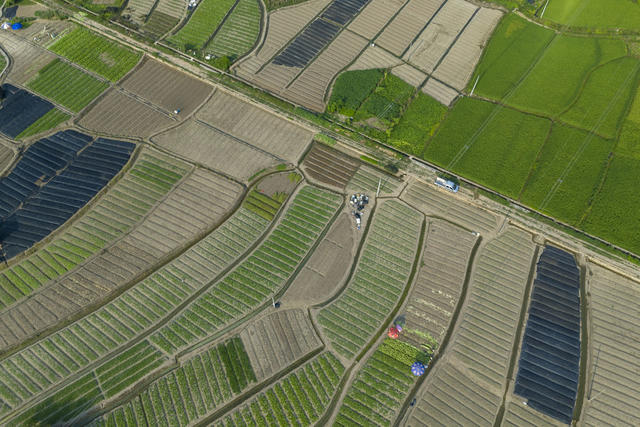 湖南娄底 田园 初秋 
